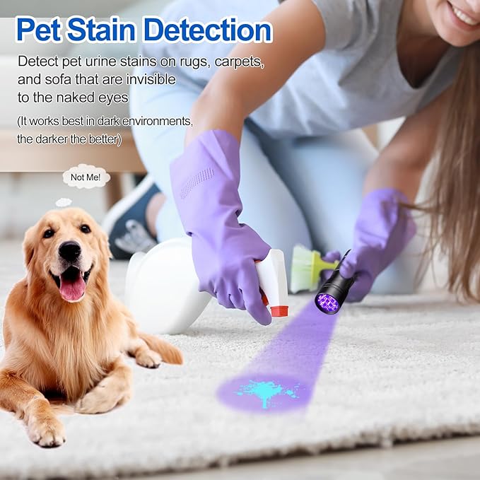 Black Light UV Flashlight,Vansky Blacklight 12 LED Urine Detector For Dog/Cat/Pet Urine & Dry Stains and Bed Bug On Carpets/Rugs/Floor,Matching with Pet Odor Eliminator