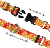 Martingale Dog Collar with Buckle - Orange Leaves / Small - image 2