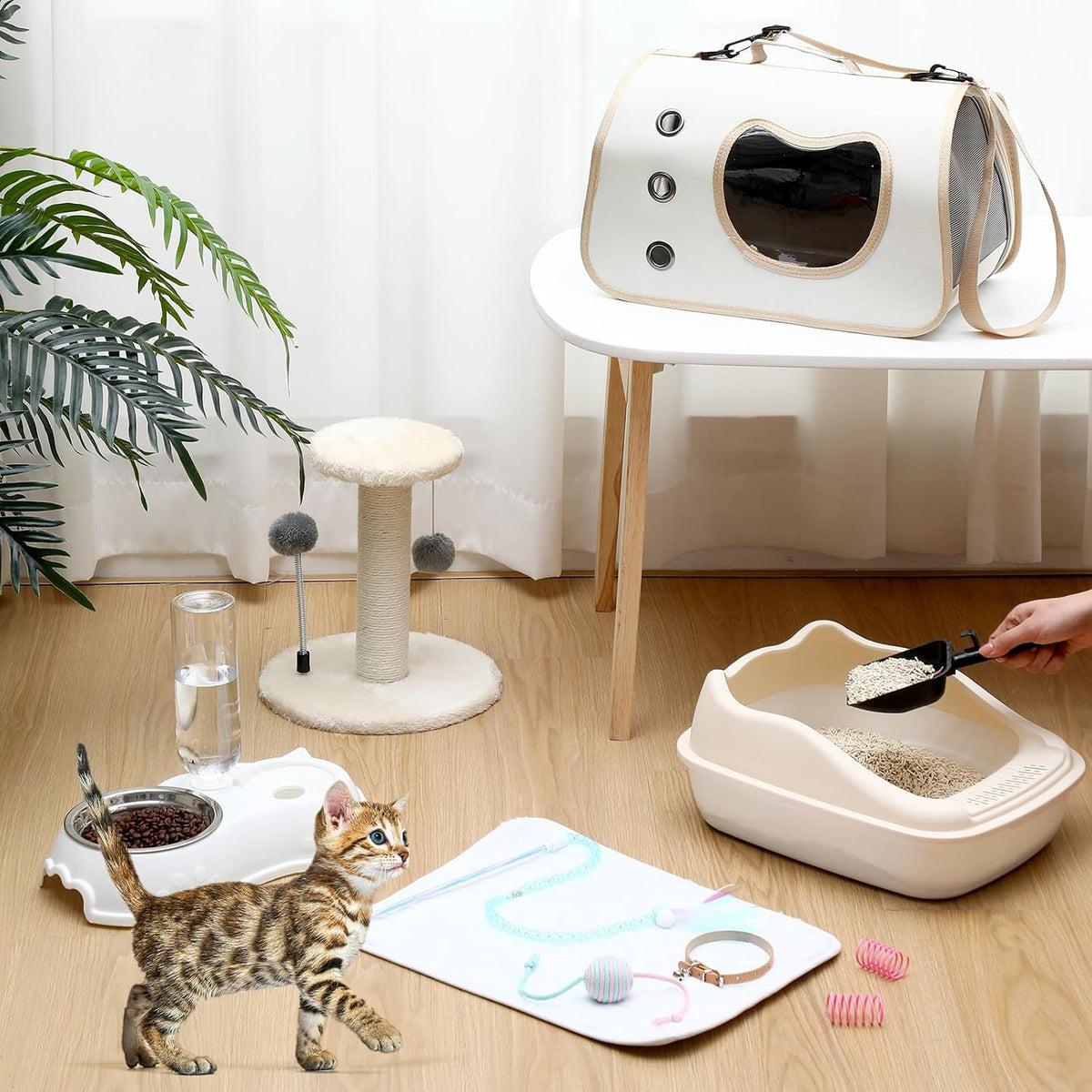 Eccliy 10 Pcs Kitten Starter Kit for Indoor - Classic / Small / White - image 2