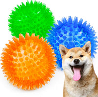 Squeaky Balls for Pet Small Puppy - Small Set of 3 / Multi