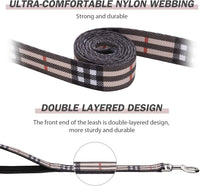 Hikiko 6 ft padded double handle nylon dog leash with swivel clasp and pattern - view 2