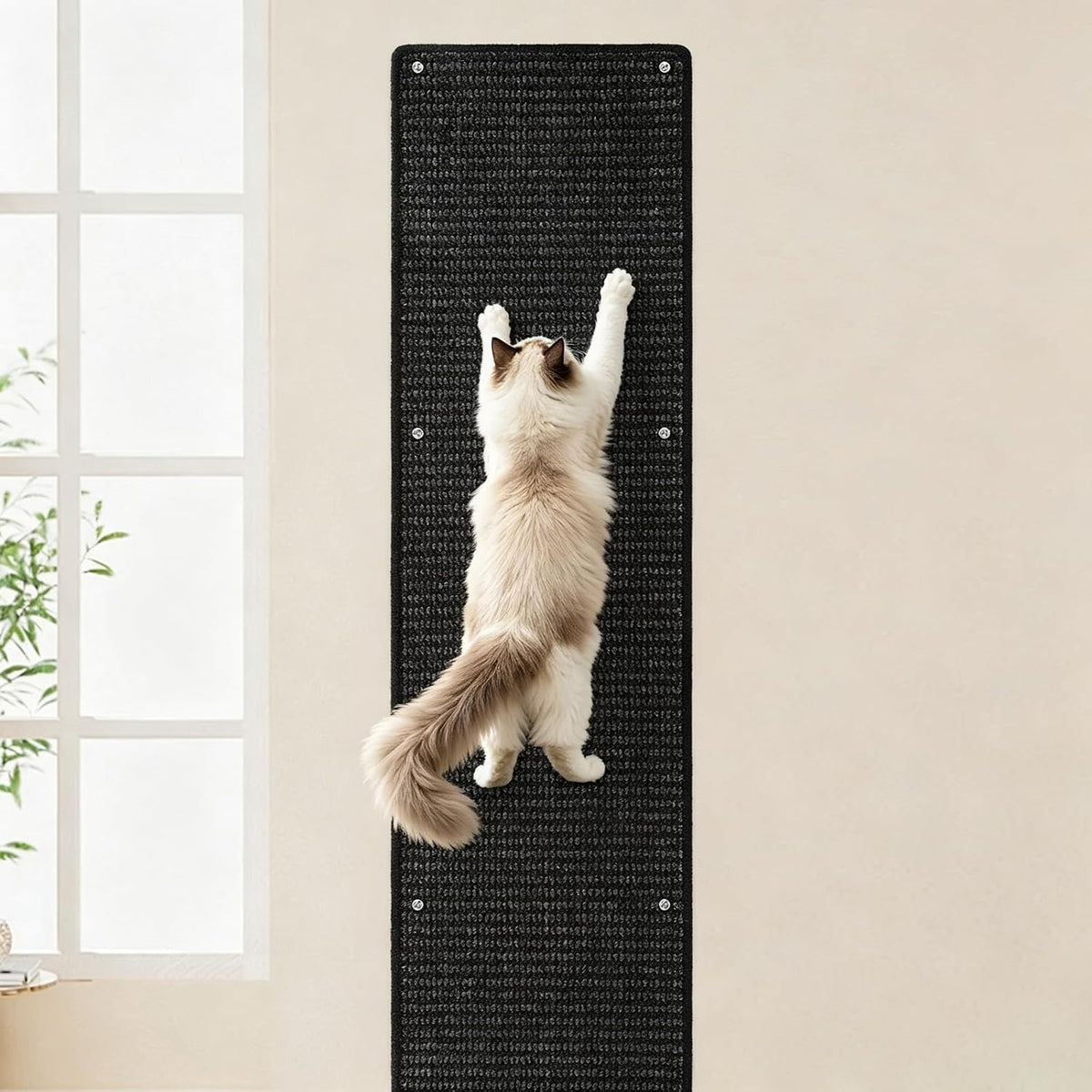 FHTONGE 71x15.8" Thickened Cat Wall Climbing Carpet with 16 Fixed - Heathered Black / 71x15.8"(180x40cm)