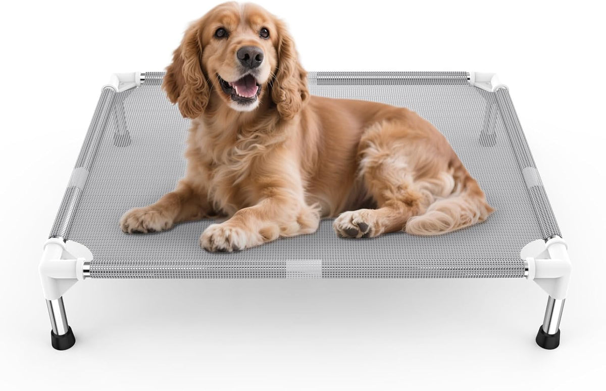 Elevated Dog Bed with Teslin Cooling Fabric, Lightweight Dog Cot - M-Gray