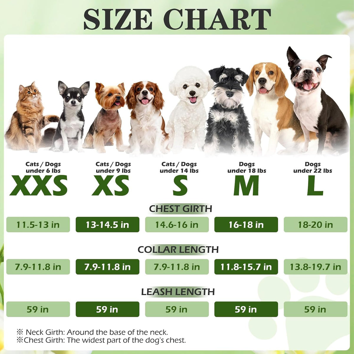 EXPAWLORER Plaid Small Dog Harness and Leash Set with AirTag Holder - Star-Moon / Small - image 2