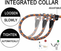Dog Leash, 6 FT Heavy Duty Dog Leashes with Comfortable Padded Handle,Black – Essentials for Dogs - Grey Orange / 6 Feet x 1/2 Inch - image 4