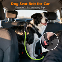 Dog Seat Belt for Car, Durable Rope Dog Car Harness for Vehicle – Essentials for Dogs - Green / 1 Pack - image 3