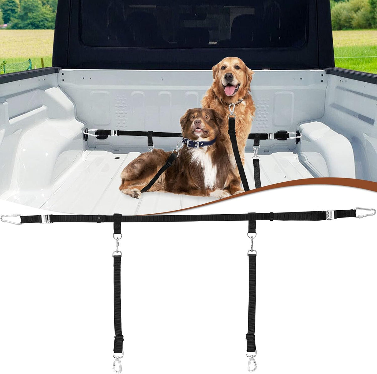 Dog Leash for Truck Bed, Up to 150 lbs - For 2 Dogs