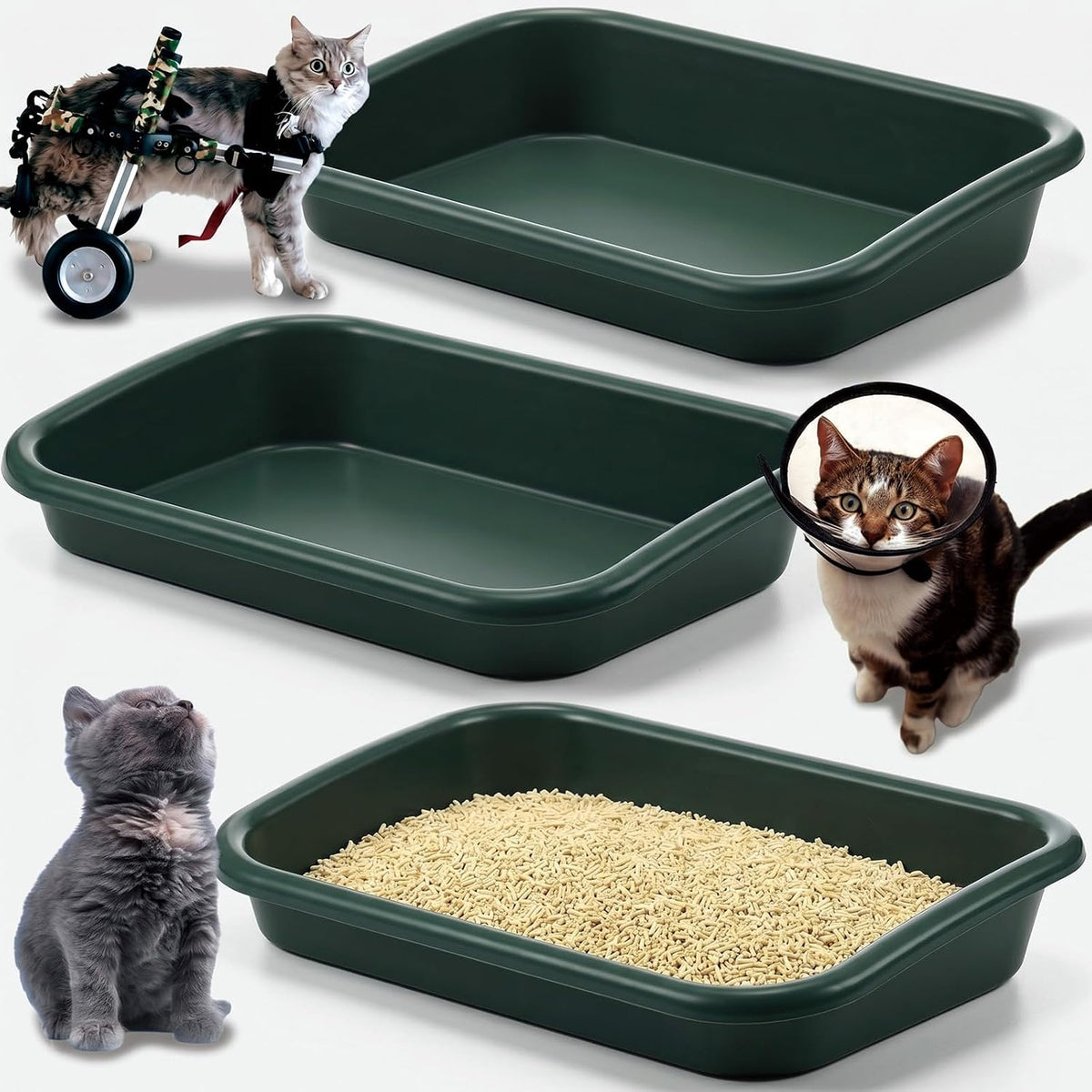 Uiifan 3Pcs Low Entry Cat Litter Box - Dark Green / 17 x 12 x 3.1