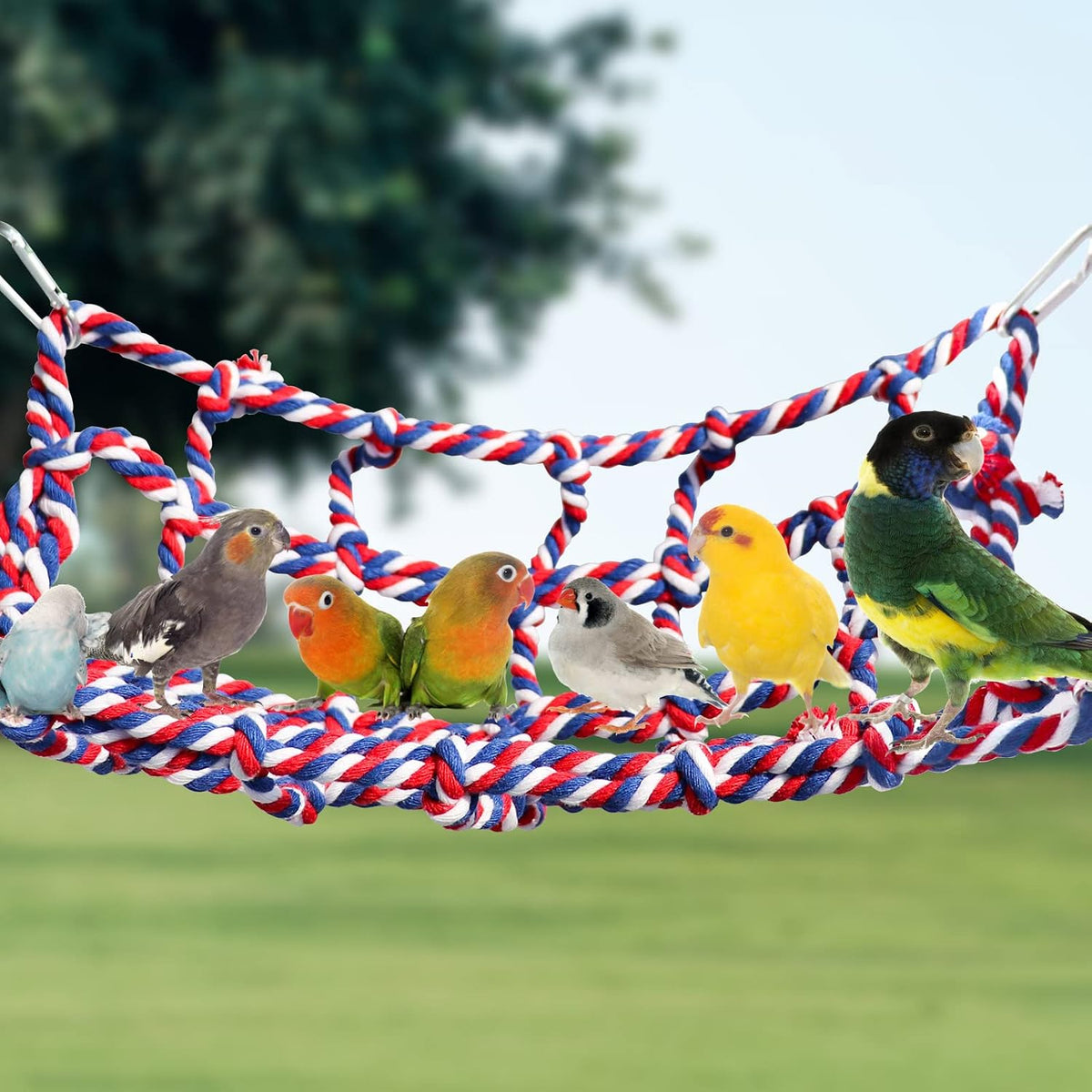 2 Pack Colorful Bird Rope Net, Pet Hanging Hammock - Small(11 × 8 Inches) - image 2