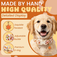 Elegant little tail Dog Collar - Fall- MapleLeaf / X-Small (Pack of 1) - image 2