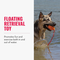 KONG Aqua Floating Fetch Toy, Natural Rubber, Orange - Medium (Pack of 1) - image 2