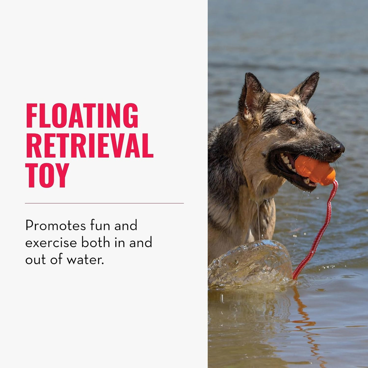 KONG Aqua Floating Fetch Toy, Natural Rubber, Orange - Medium (Pack of 1) - image 2