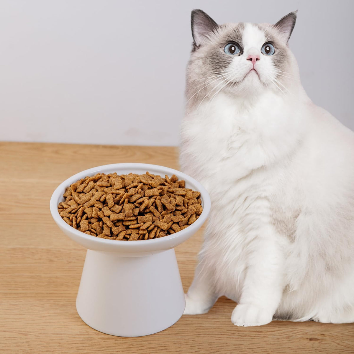 Ceramic Elevated Cat Food Bowls, 6.2" Wide - White / 1 Pack - image 3