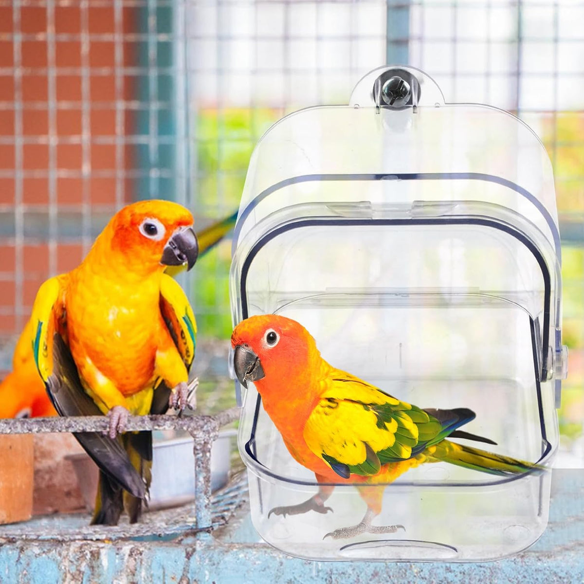 Automatic Bird Shower with Pump - 【Quadrate Transparent Bird Bath】 - image 3