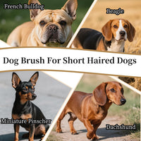 Soft Boar Bristle Dog Brush for Short Haired - image 3