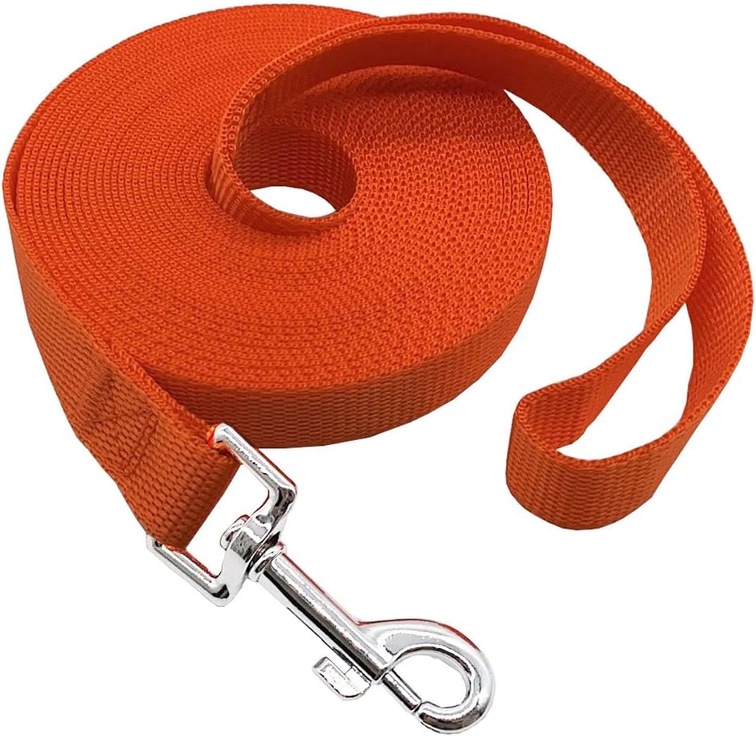 Nylon Training Dog Leash for Small Medium Large Dogs, Camping - Orange / 1" x 15ft