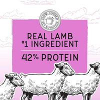 Blackwood Bounty Dry Cat Food, Red Meat Recipe for All Life Stages, 10 Pound Bag, High Protein, Grain Free