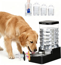 2.4Gallon Dog Water Bowl Dispenser for Dogs:Leak Resistant Waterer – Essentials for Dogs - Black with Lid & Filter / 10L