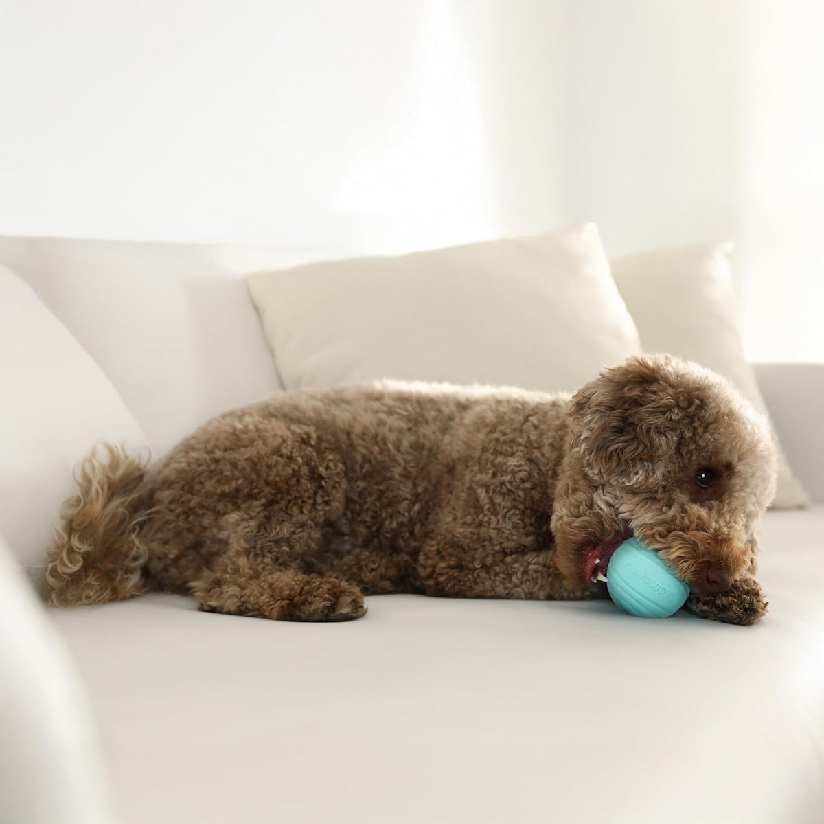 Playology Durable Large Dual Layer Dog Ball, Peanut Butter Scent - Medium / Peanut Butter - image 3