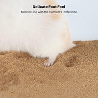 BUCATSTATE Hamster Bath Sand with Pour Spout - 6.6LB / Fine Sand - image 3