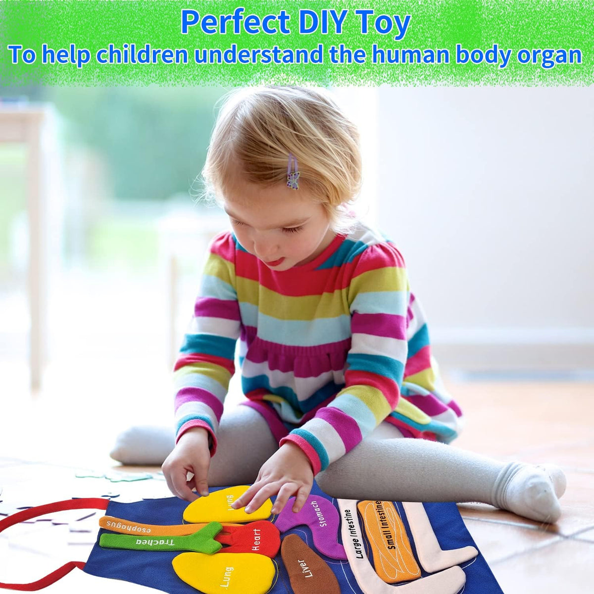 Boczif 3D anatomy apron for kids with removable stuffed organs on a labeled apron - view 4
