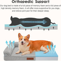 Orthopedic Dog Beds Large Sized Dog, 3 Inch Memory Foam Pet Bed for Medium and Large Dogs, Washable Removable Cover, Nonskid Bottom, Waterproof, 36x27 Inches L Light Grey