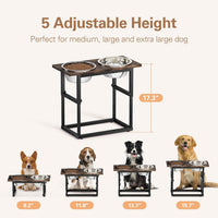 Elevated Dog Bowls for X-Large and Large Breed - Black - image 2