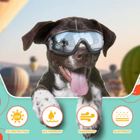 Dog Goggles for Large Breeds - 2Pcs L - image 4