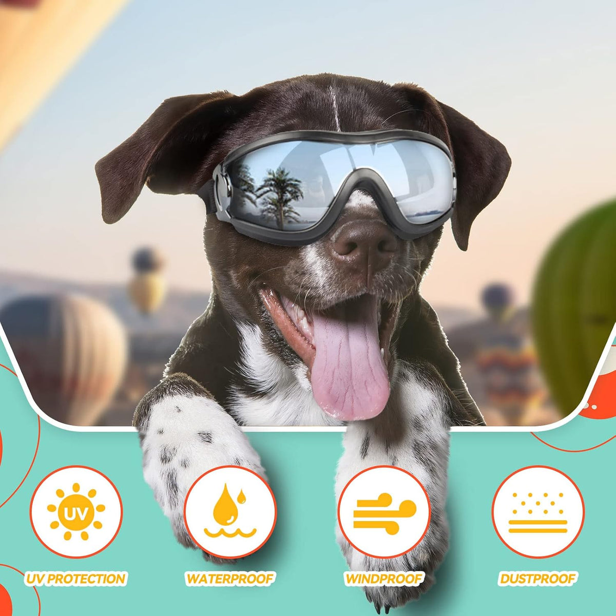 Dog Goggles for Large Breeds - 2Pcs L - image 4
