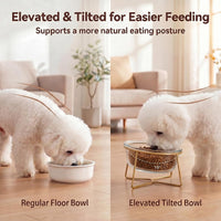 Small Glass Tilted Elevated Cat Dog Bowl Raised Cat Food Water Bowl - Large / Glass - image 4