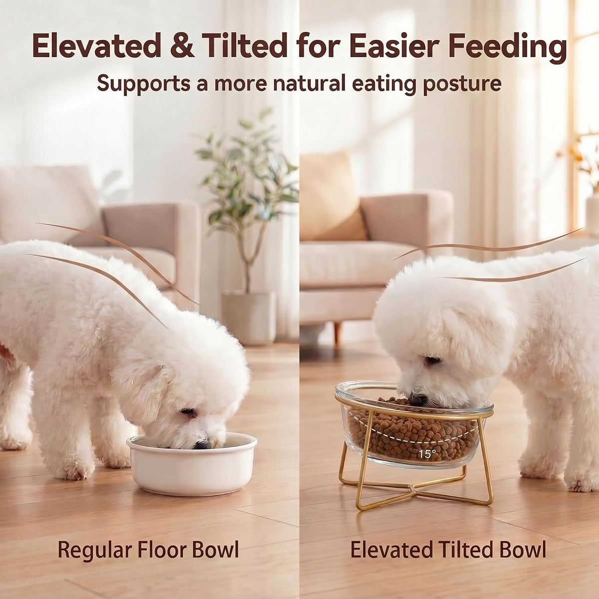 Small Glass Tilted Elevated Cat Dog Bowl Raised Cat Food Water Bowl - Large / Glass - image 4