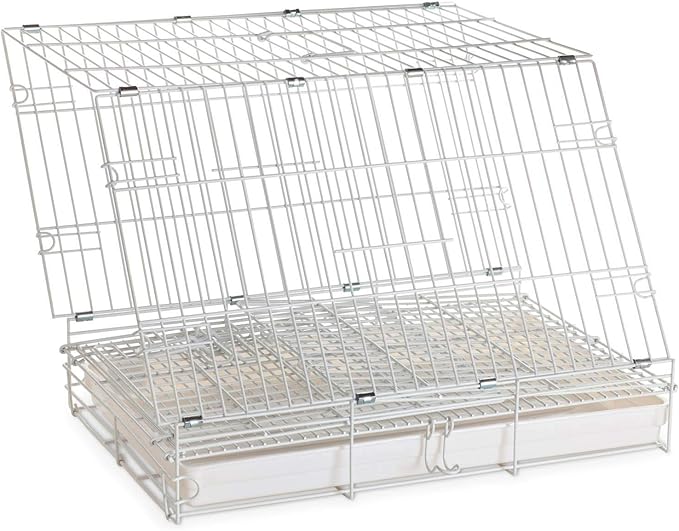 Durable Easy Portable Collapsible Metal Travel or Veterinary Collapsable Parrot Bird Carrier Beaks-Proof Easy Clean Carrier Cage with Stainless Steel Feeder Bowls Natural Wooden Perch
