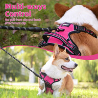 PUPTECK No Pull Halloween Dog Harness for Large - Fuschia / X-Large / Harness Only - image 3