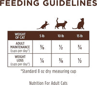 Instinct Limited Ingredient Diet, Natural Dry Cat Food, Grain Free Recipe - Real Rabbit, 10 lb. Bag