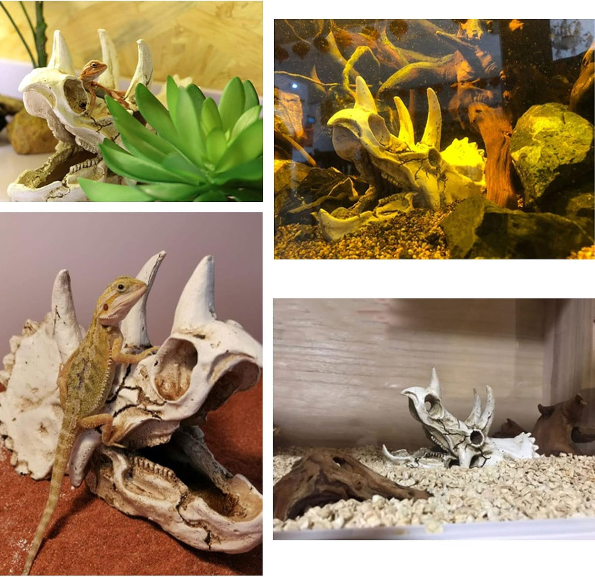 Reptiles Skull Hide Decorations Bearded Dragon Tank Accessories - Triceratops Skull+Rattan+Leaf - image 2