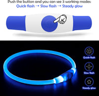 Led Dog Collar, BSEEN USB Rechargeable Flash Light up Dog Collar – Essentials for Dogs - Blue - image 2