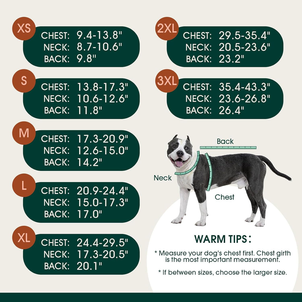 Kuoser Waterproof Dog Coat - Olive Green / Medium (Pack of 1) - image 2
