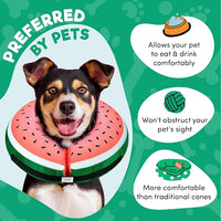 BENCMATE Inflatable Dog Cone Collar Alternative, Soft Dog Cone for Small Medium Large Dogs and Cats, Neck Recovery ECollar Donut Collar After Surgery (Large, Watermelom)