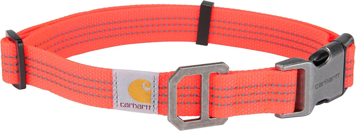 Carhartt Nylon Dog Collar Hunter Orange L – Essentials for Dogs - Coral Glow / Large 18-26"(L) X1"(W)