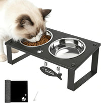 Elevated Cat Bowls with Splash Proof Mat for Kitten Puppy - Silver / 2bowls