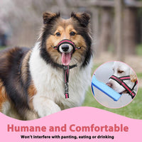 Soft Dog Head Collar, Patented Padded No Pull Training Head Halter – Essentials for Dogs - Pink / M (Snout 8"-11") - image 4