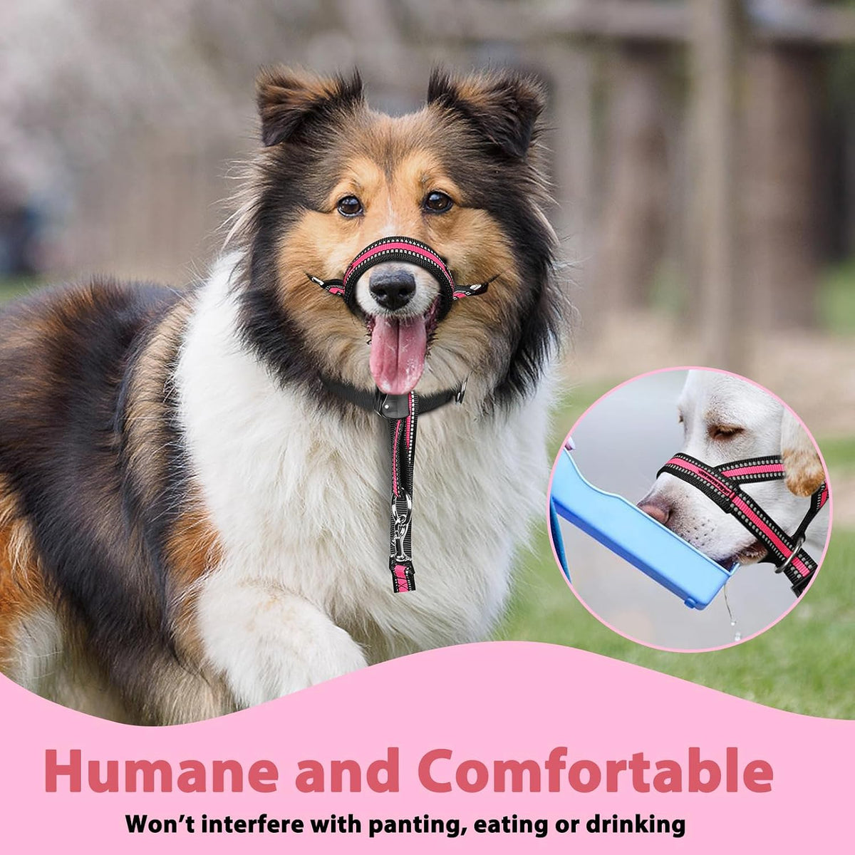 Soft Dog Head Collar, Patented Padded No Pull Training Head Halter – Essentials for Dogs - Pink / M (Snout 8"-11") - image 4
