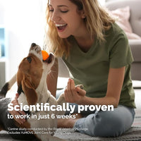 YuMOVE Hip & Joint Supplement for Dogs with Glucosamine, Hyaluronic Acid, Green Lipped Mussel & Omega 3 Joint Supplement - Regular and Advanced Strength (60ct, Chewable Tablets)