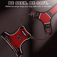 WINSEE Dog/Pet Harnesses No Pull with Dog Collar - Large / Red - image 3