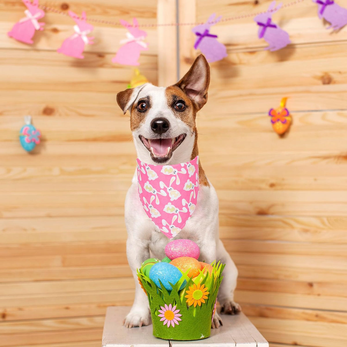 Halloween Dog Bandanas, L - Large / Easter - image 3