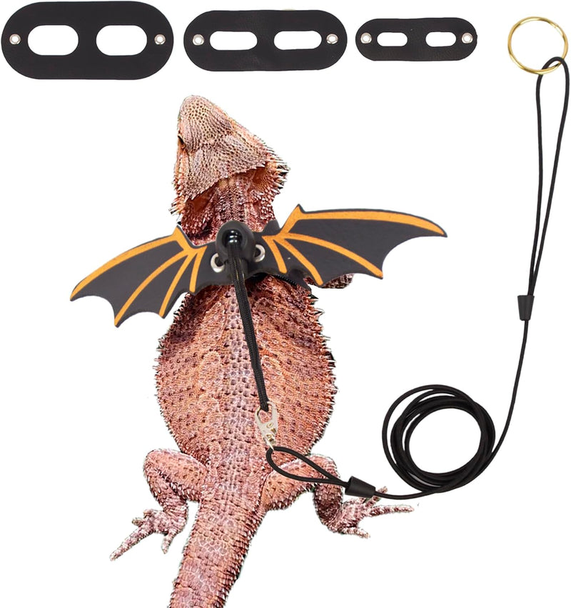 Pink Bearded Dragon Leash Harness, 3 Size Pack, Cool Bat Wing – Essentials for Small Pets - Black