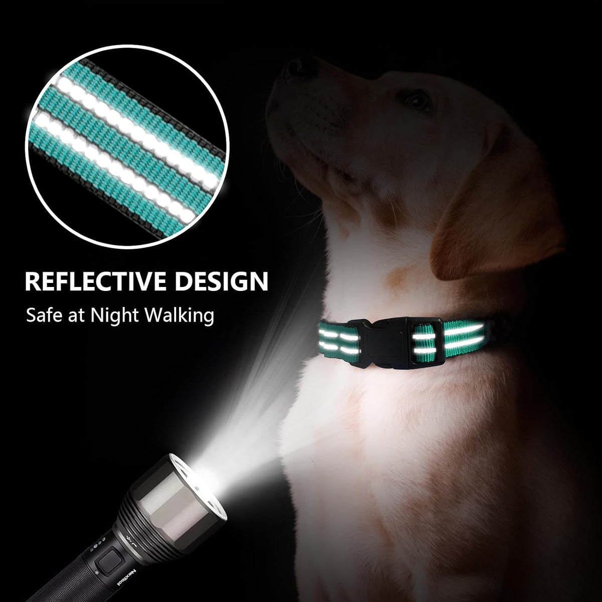 Martingale Collar for Dogs, Reflective Escape Proof, M - Turquoise / Medium - image 2