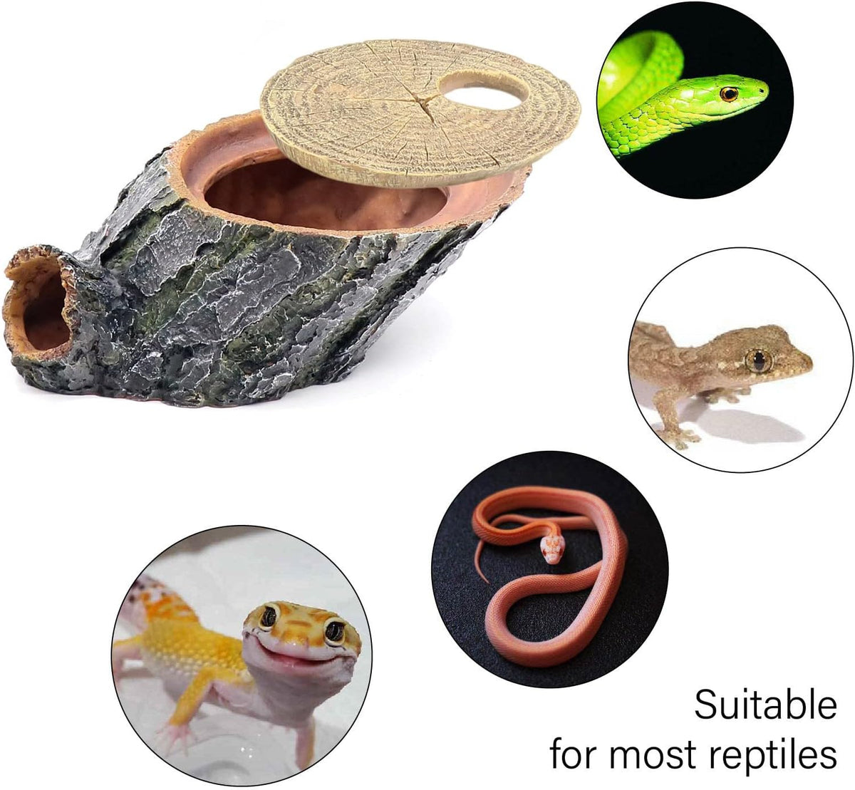 Gecko Hide Shale Scape Step Ledge - Medium - image 4