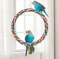 Wontee Bird Swing Colorful Rope Perch Climbing Toy for Parrots – Essentials for Birds - Small (7.5 inch) - image 2
