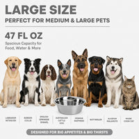 4-Pack Stainless Steel Dog and Cat Bowl - image 4